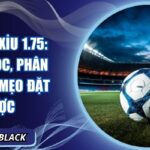 Kèo tài xỉu 1.75: Cách đọc, phân tích và mẹo đặt cược